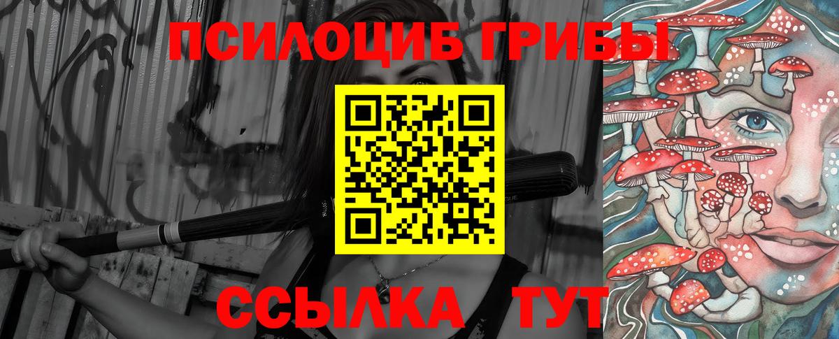 Карабулак  Галлюциногенные грибы MAGIC MUSHROOMS  Вход с VPN 