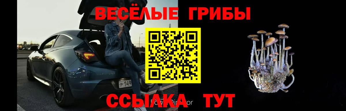 Псилоцибиновые грибы Psilocybe Карабулак
